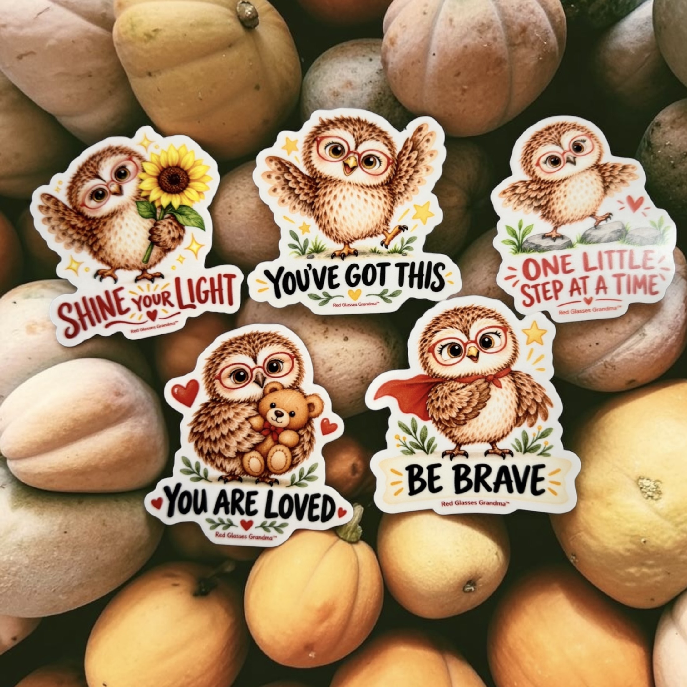 The five Red Glasses Grandma owl stickers arranged together: Shine Your Light, You’ve Got This, One Little Step at a Time, You Are Loved, and Be Brave